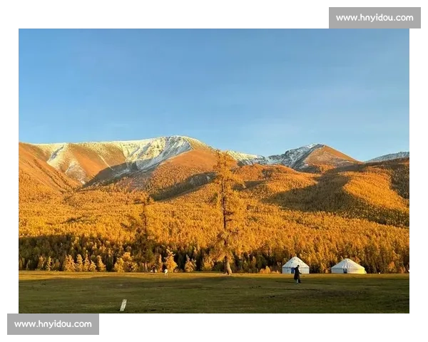 秋日阿勒泰，那束橙色的暖光